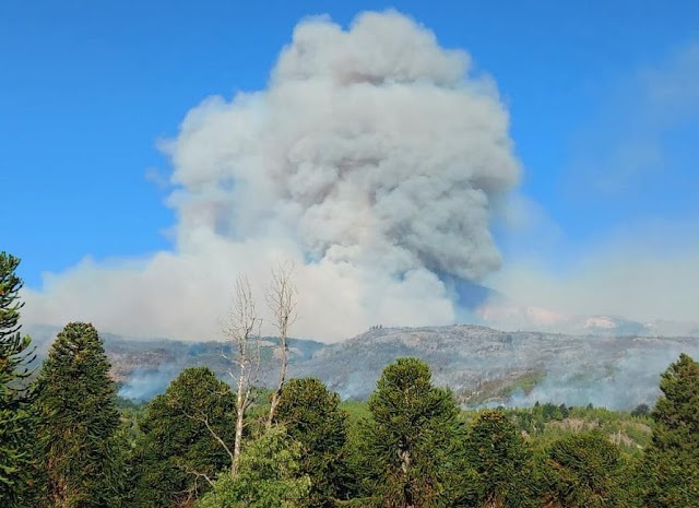 Contin A El Combate Del Incendio En Parque Nacional Los Alerces