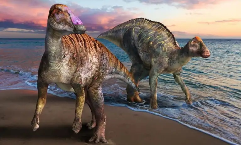EN CANADÁ HALLAN UN DINOSAURIO COMPLETO CON LA PIEL FOSILIZADA – Bariloche Digital EN CANADÁ HALLAN UN DINOSAURIO COMPLETO CON LA PIEL FOSILIZADA – Bariloche Digital